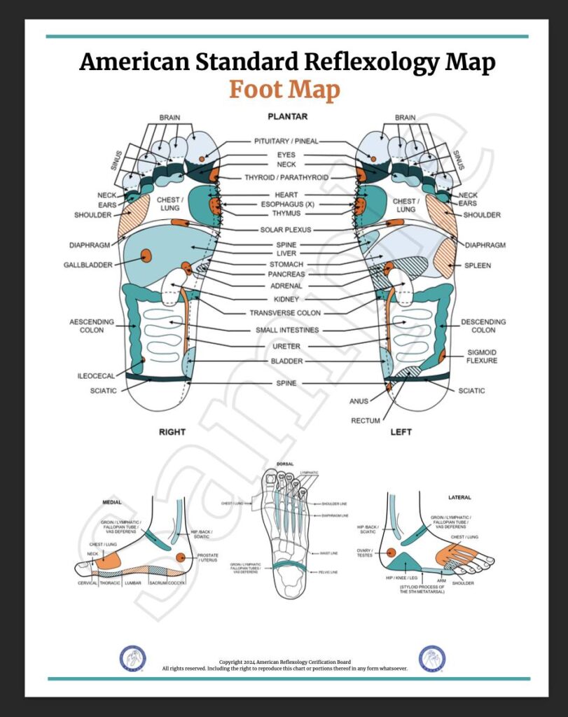 Reflexology Services - Structural and Traditional Reflexology